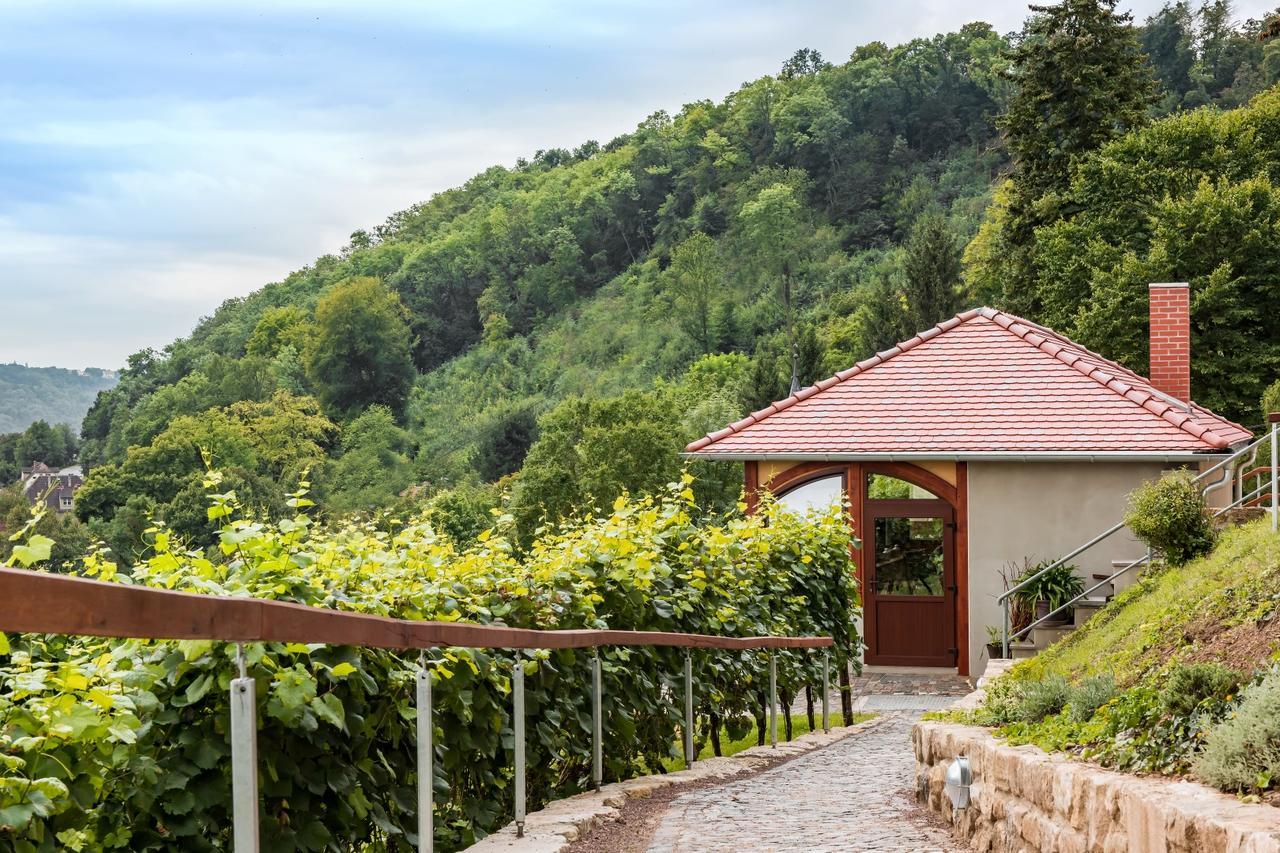 Flair Hotel Villa Ilske バート・ケーゼン エクステリア 写真